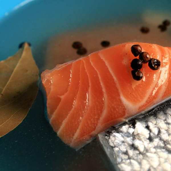 Smoked salmon recipes no brine Smoked salmon recipes no brine