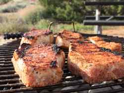 RV Recipes for Smoked Chicken