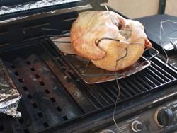 Gas Grill Smoked Turkey