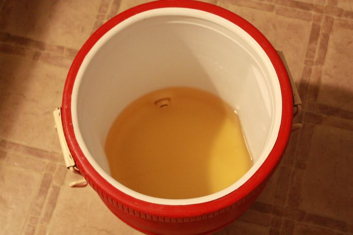 Chicken Brine In An Igloo Water Cooler