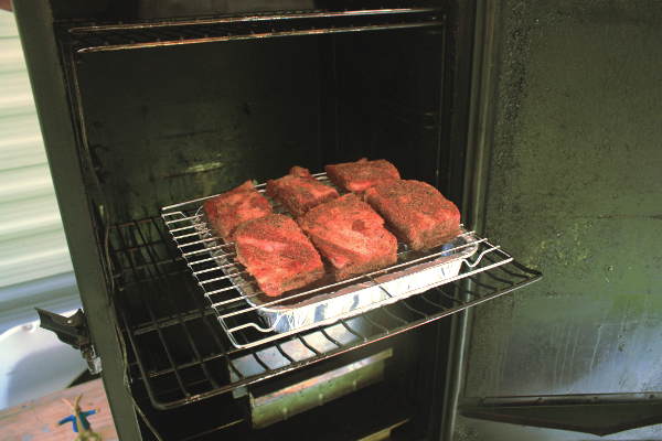 Masterbuilt 30 4 Rack Electric Smoker w/Cover, Recipes