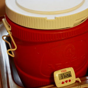 Brine Temperature Is At 37°F In This Insulated Water Cooler I Use For Brining Turkeys