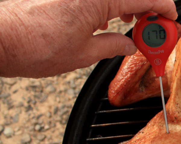 Chicken: How to Properly Take the Internal Temperature with a Meat  Thermometer 