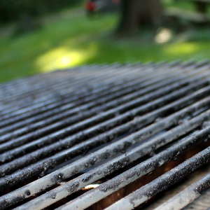 Dirty Grill and Smoker Grates Contaminate Food, and Negatively Impact Flavor