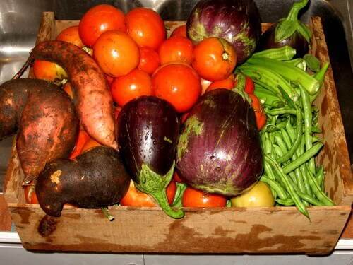 This Assortment of Fresh Vegetables Came Right From My Garden. And Are Going Right To The Grill!