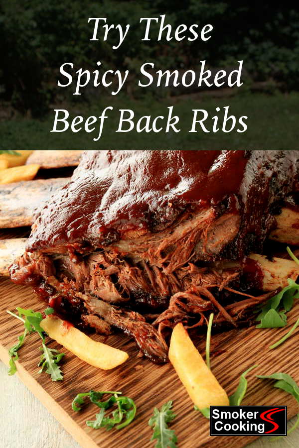 Spicy Beef Rib Recipe is Seasoned With Taco Spice, Served With Salsa