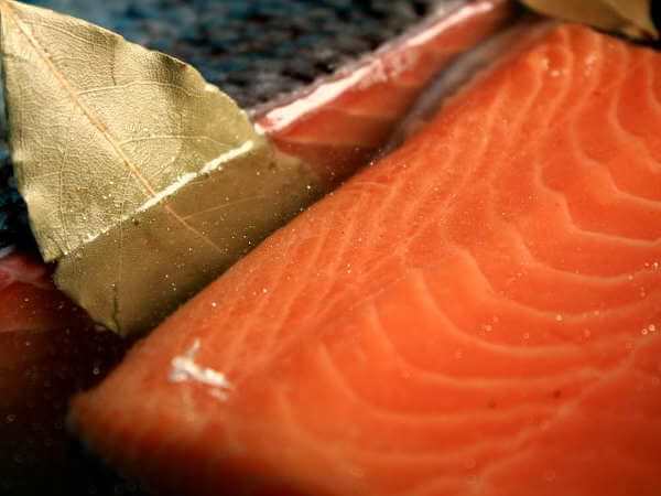 Basic Brine For Smoked Salmon Boosts