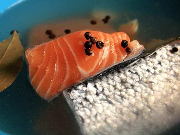 Three Salmon Fillets in Blue Bowl of Brine, Containing Bay Leaves, Garlic, Peppercorns, Salt and Sugar Salmon Fillets in Brine Solution With Spices and Herb