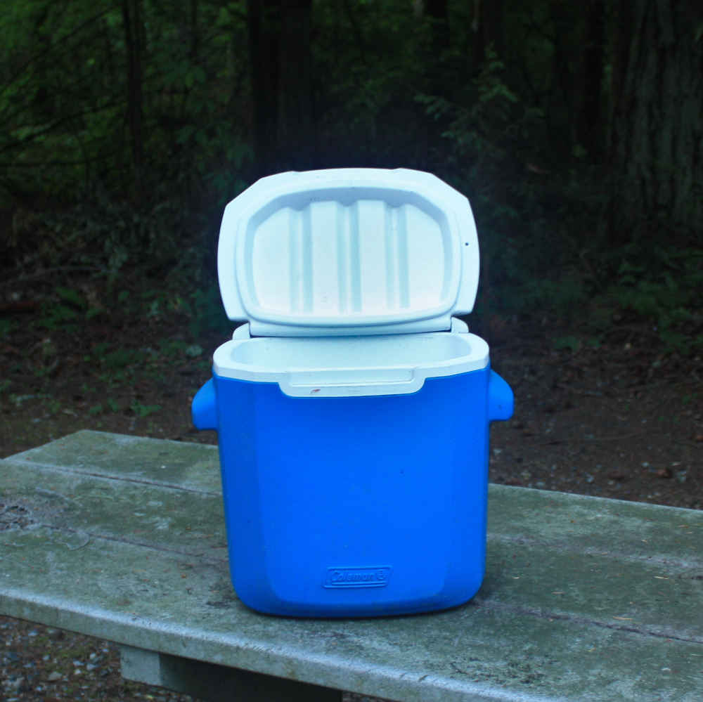 Picture of a tall, narrow beer cooler, which is the perfect shape to use as a brining container.