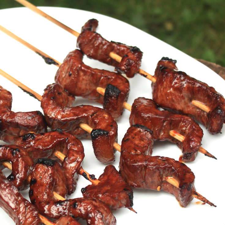 Teriyaki Steak Skewers On Grill. In Three Minutes They'll Be Done. In Four They'll Be Digesting In My Stomach!