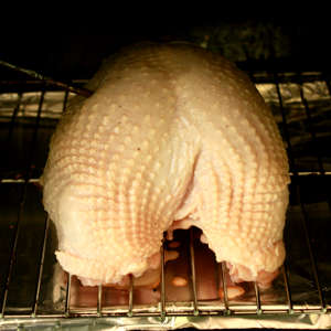 Cooking a Turkey Breast In a Masterbuilt Electric Smoker