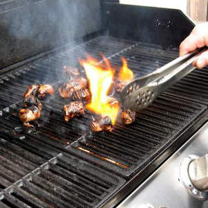 Bacon Wrapped Chunks of Venison Make Great Tasting Appetizers