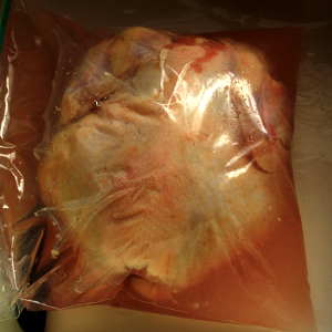 Brining a Whole Chicken In a Gallon Food Storage Bag