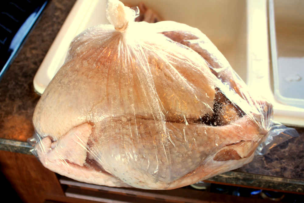 Dry brining a turkey in a bag! A smallish whole turkey was salted and placed in an oven cooking bag, and will be placed in the refrigerator overnight.