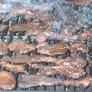 Marinated, Then Smoked, Canada Goose Makes Great Tasting Jerky