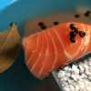Nice Looking Salmon Fillets Floating In a Container of Salmon Brine